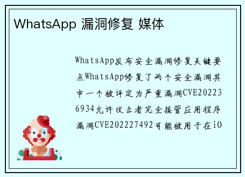 WhatsApp 漏洞修复 媒体